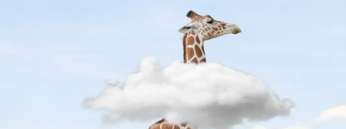 A giraffe with its head in the clouds.