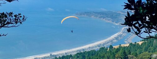 A paraglider is flying over the ocean and trees.